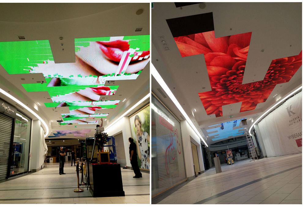 新利luck18(中国)体育·官方网站