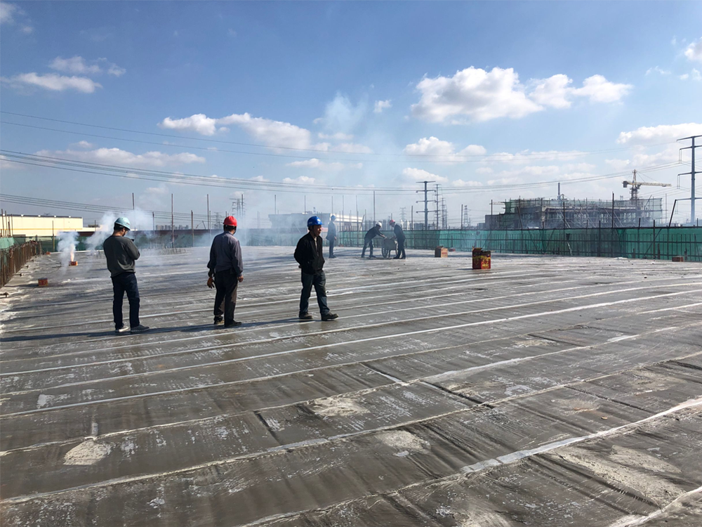 新利luck18(中国)体育·官方网站