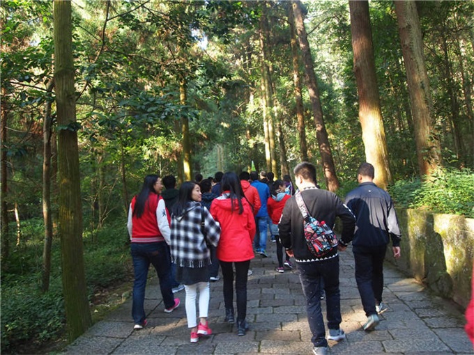 新利luck18(中国)体育·官方网站