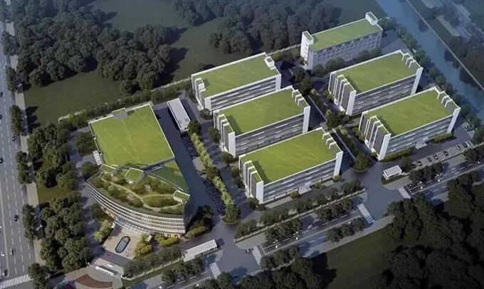 新利luck18(中国)体育·官方网站